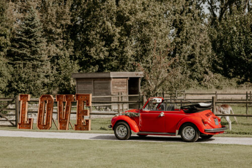 Lettres LOVE 1,50 m – Image 2
