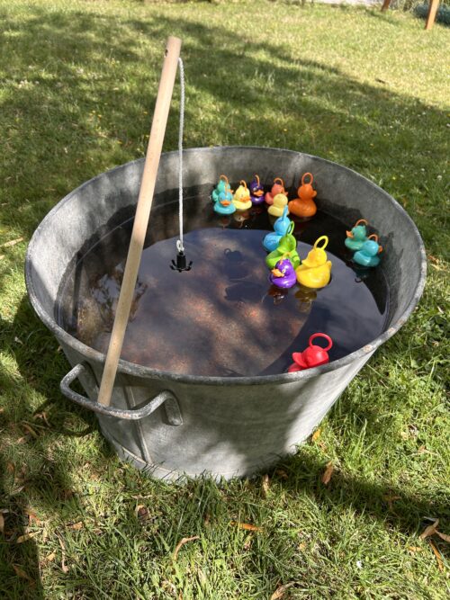 Pêche aux canards